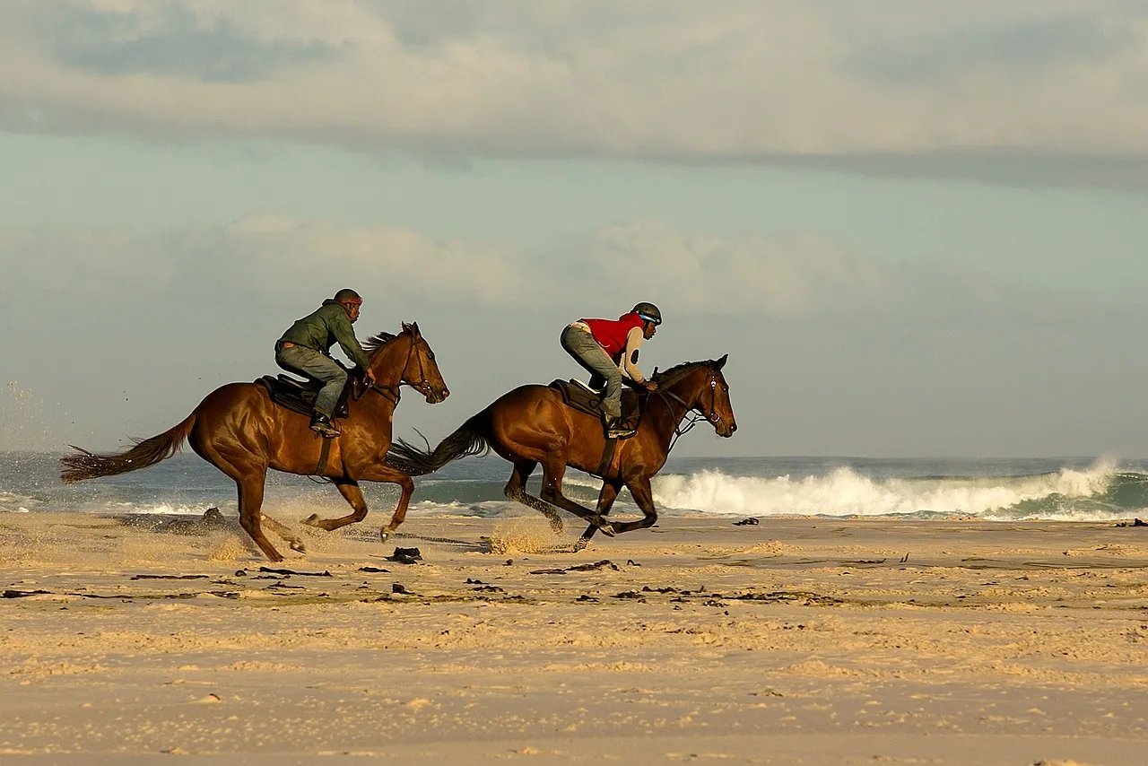Two riders galloping side by side along a wide beach, white surf breaking behind them