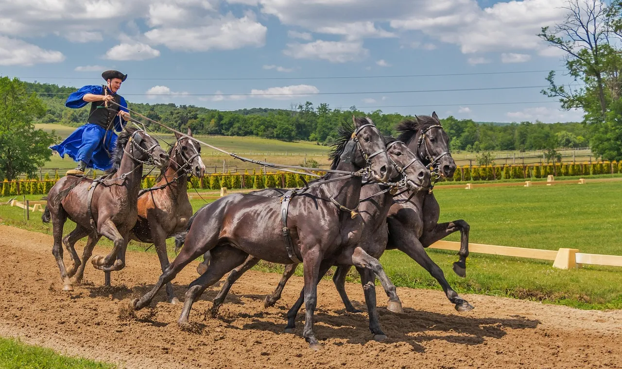 A Hungarian horseman in a blue cloak standing astride two horses while driving five at a gallop along a sandy track