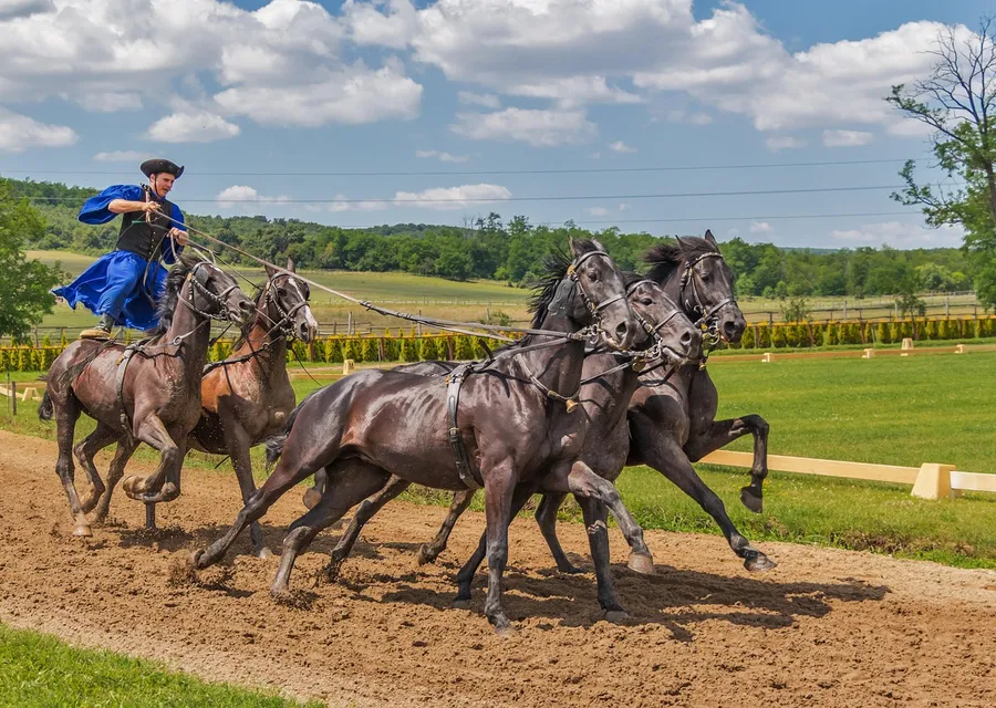 A Hungarian horseman in a blue cloak standing astride two horses while driving five at a gallop along a sandy track