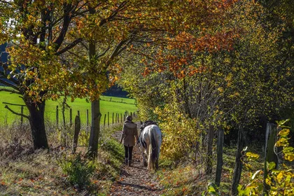 A woman in a coat leading a grey and white horse down a narrow wooded path in autumn, with a green field visible through the trees